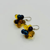 Tracy Earrings in Shiny Iris Blue and Yellow