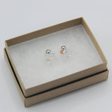 Tami Post Earrings in Shiny Crystal Clear