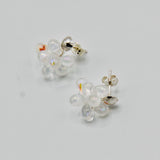 Tami Post Earrings in Shiny Crystal Clear