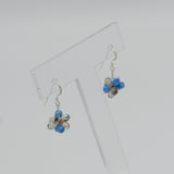 Tami Earrings in Blue and Brown